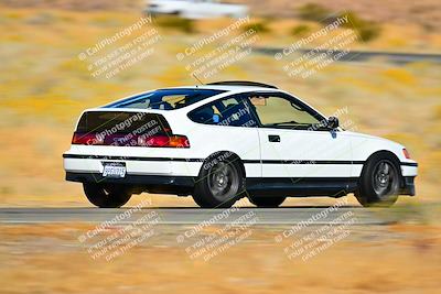 media/Nov-16-2024-Extreme Speed (Sat) [[6587d07cc4]]/Gold Group/Session 2 (Turns 3 and 5)/